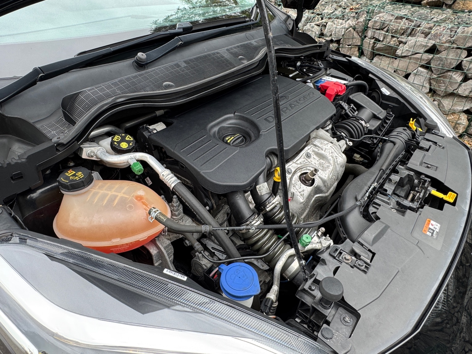 Used Ford Fiesta 2017 for sale - 76221663: Photo 15