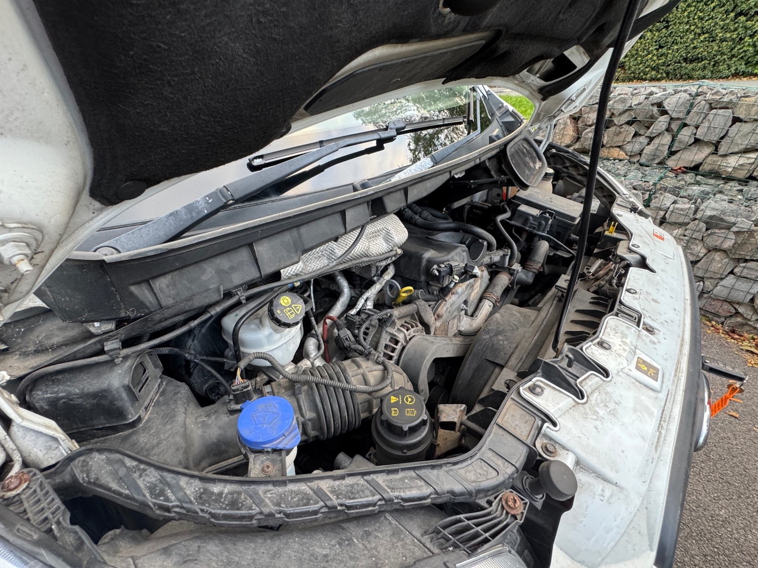 Used Ford Transit 2015 for sale - 76220721: Photo 14