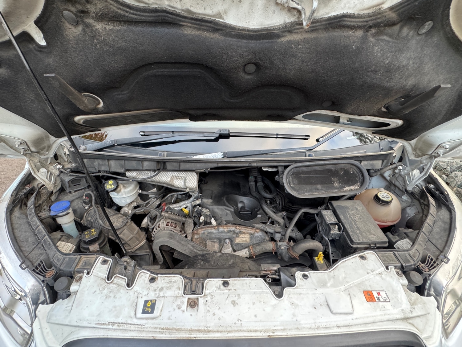 Used Ford Transit 2015 for sale - 76220721: Photo 23