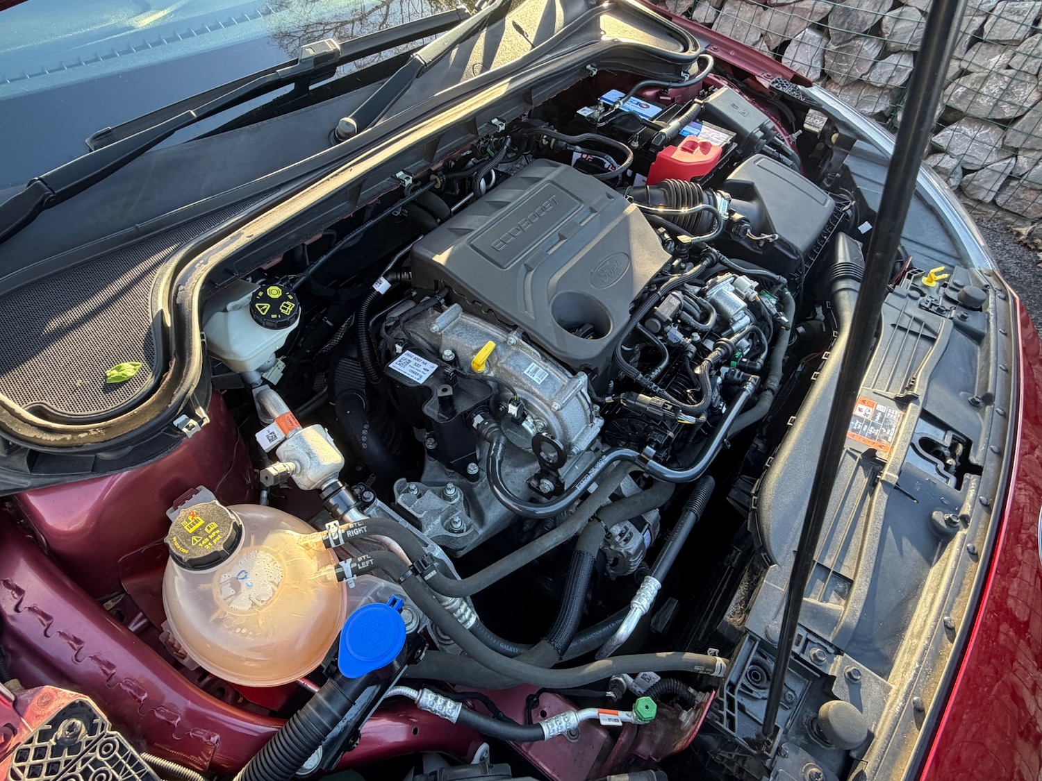 Used Ford Focus 2019 for sale - 78011785: Photo 15