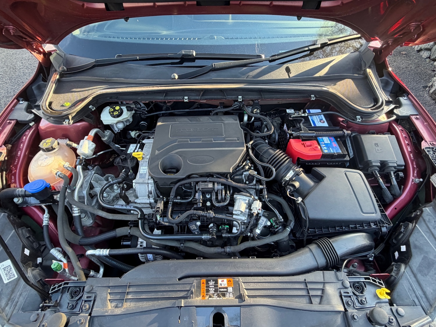 Used Ford Focus 2019 for sale - 78011785: Photo 24