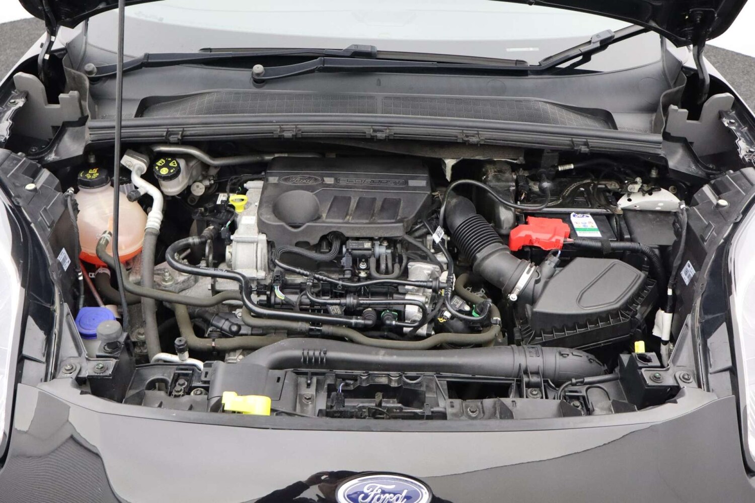 Used Ford Puma 2020 for sale - 76379440: Photo 52