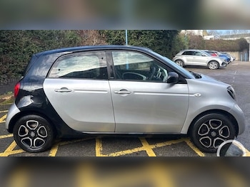 Used smart forfour 2015 for sale - 77369441: Photo