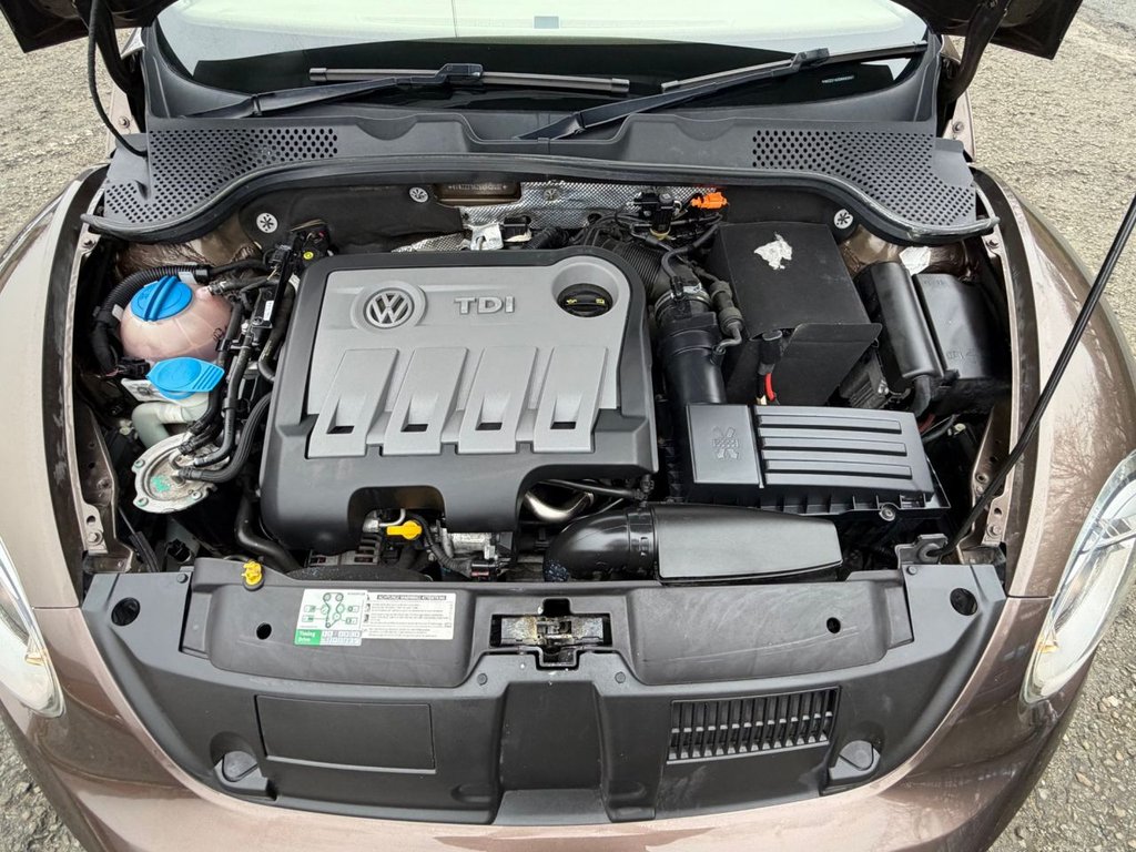 Used Volkswagen Beetle 2014 for sale - 77680459: Photo 49