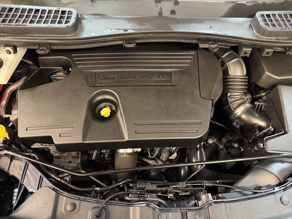 Used Ford Kuga 2019 for sale - 76792340: Photo 21