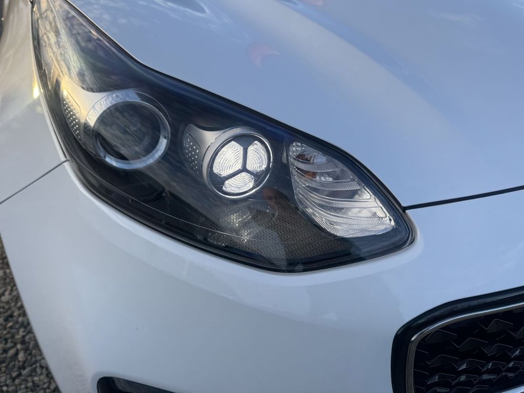 Used Kia Sportage 2017 for sale - 76469700: Photo 37