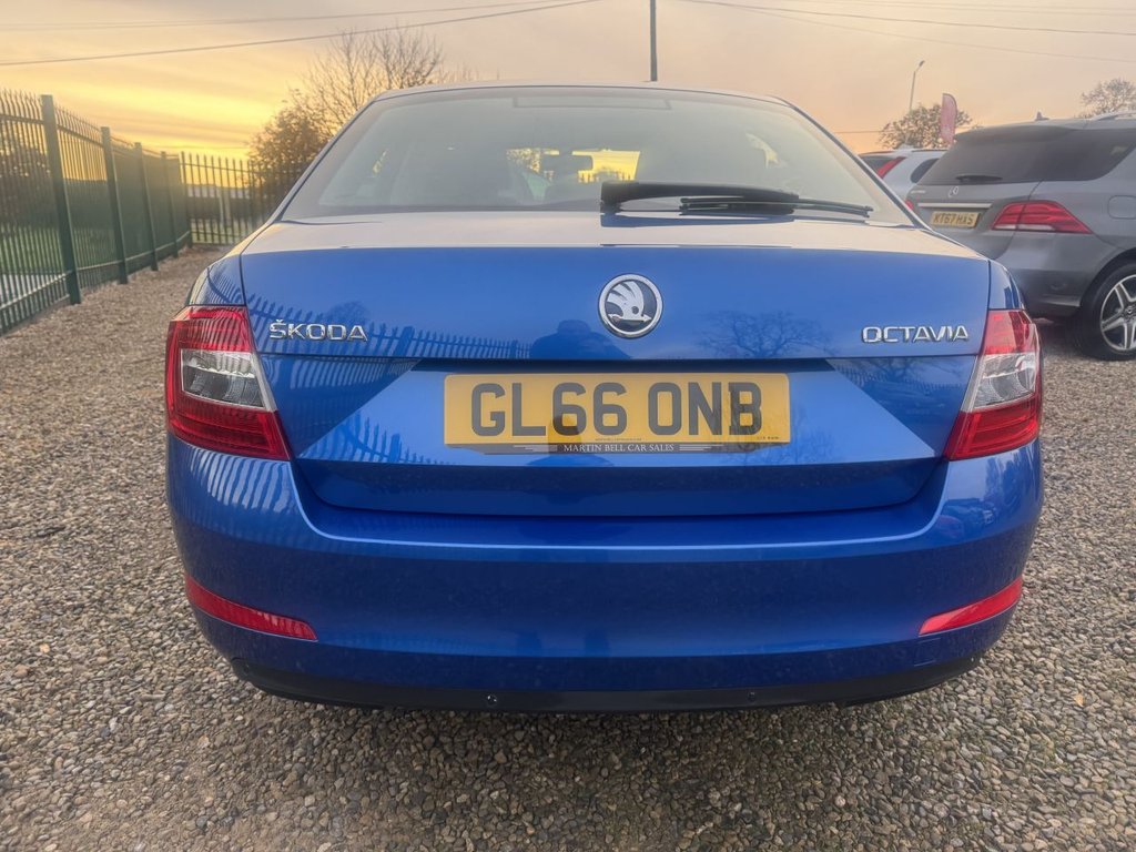Used Skoda Octavia 2016 for sale - 76469747: Photo 5