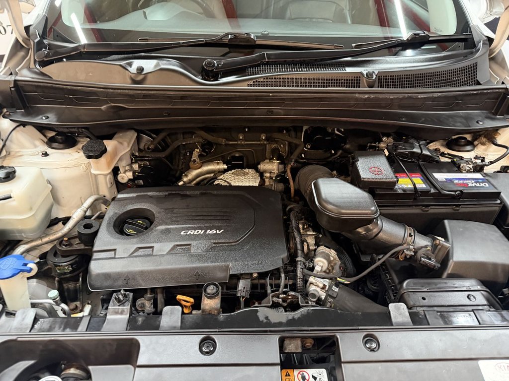 Used Kia Sportage 2016 for sale - 77227700: Photo 17