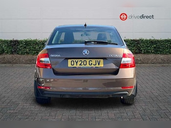 Used Skoda Octavia 2020 for sale - 77801017: Photo