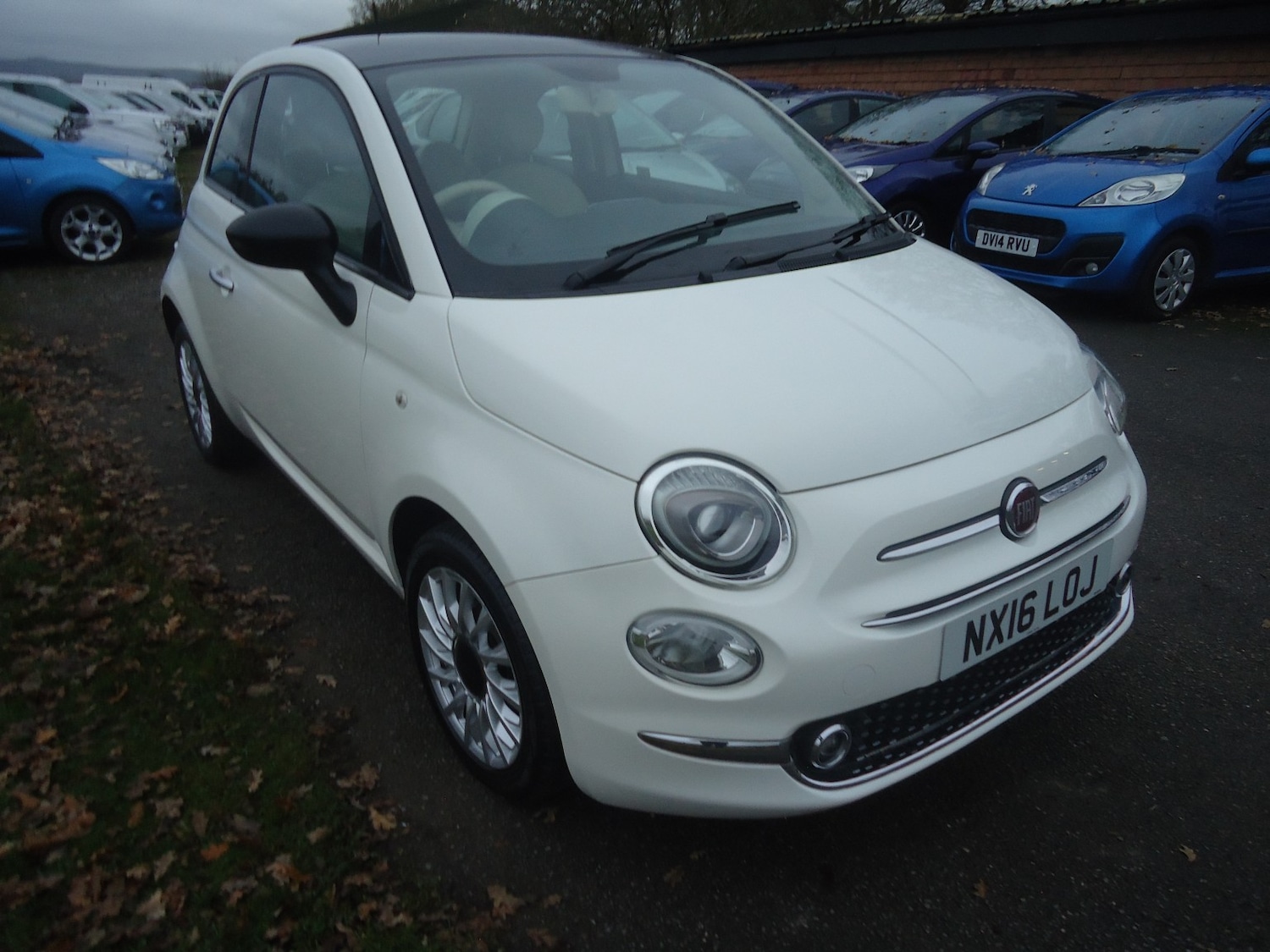 Used Fiat 500 2016 for sale - 76941757: Photo 10
