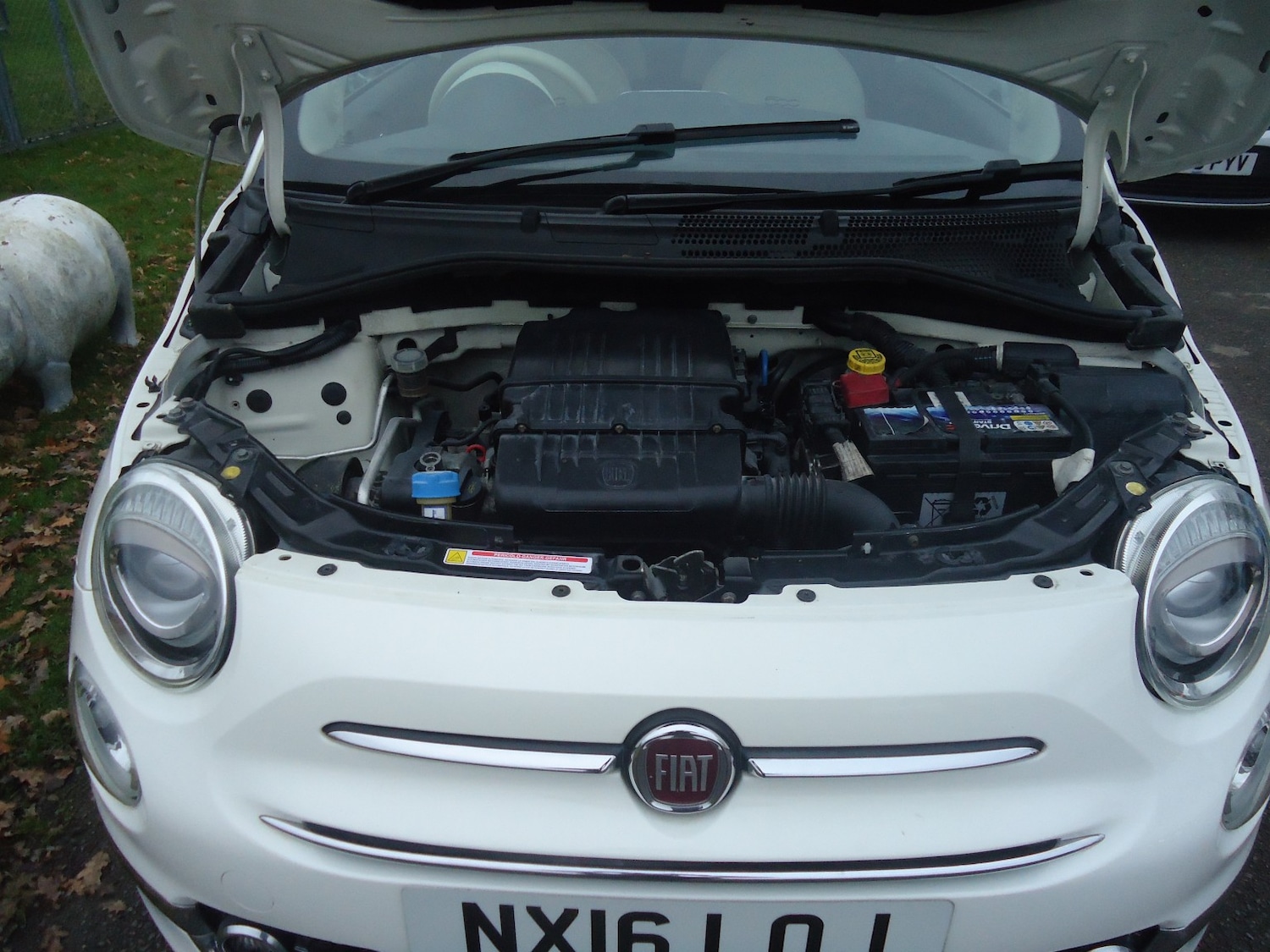 Used Fiat 500 2016 for sale - 76941757: Photo 6