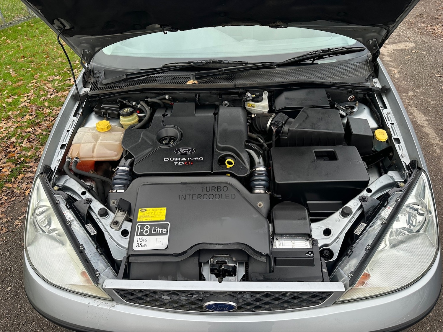 Used Ford Focus 2004 for sale - 77028038: Photo 5