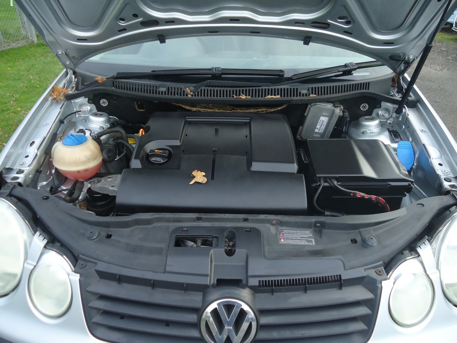 Used Volkswagen Polo 2004 for sale - 76560017: Photo 6