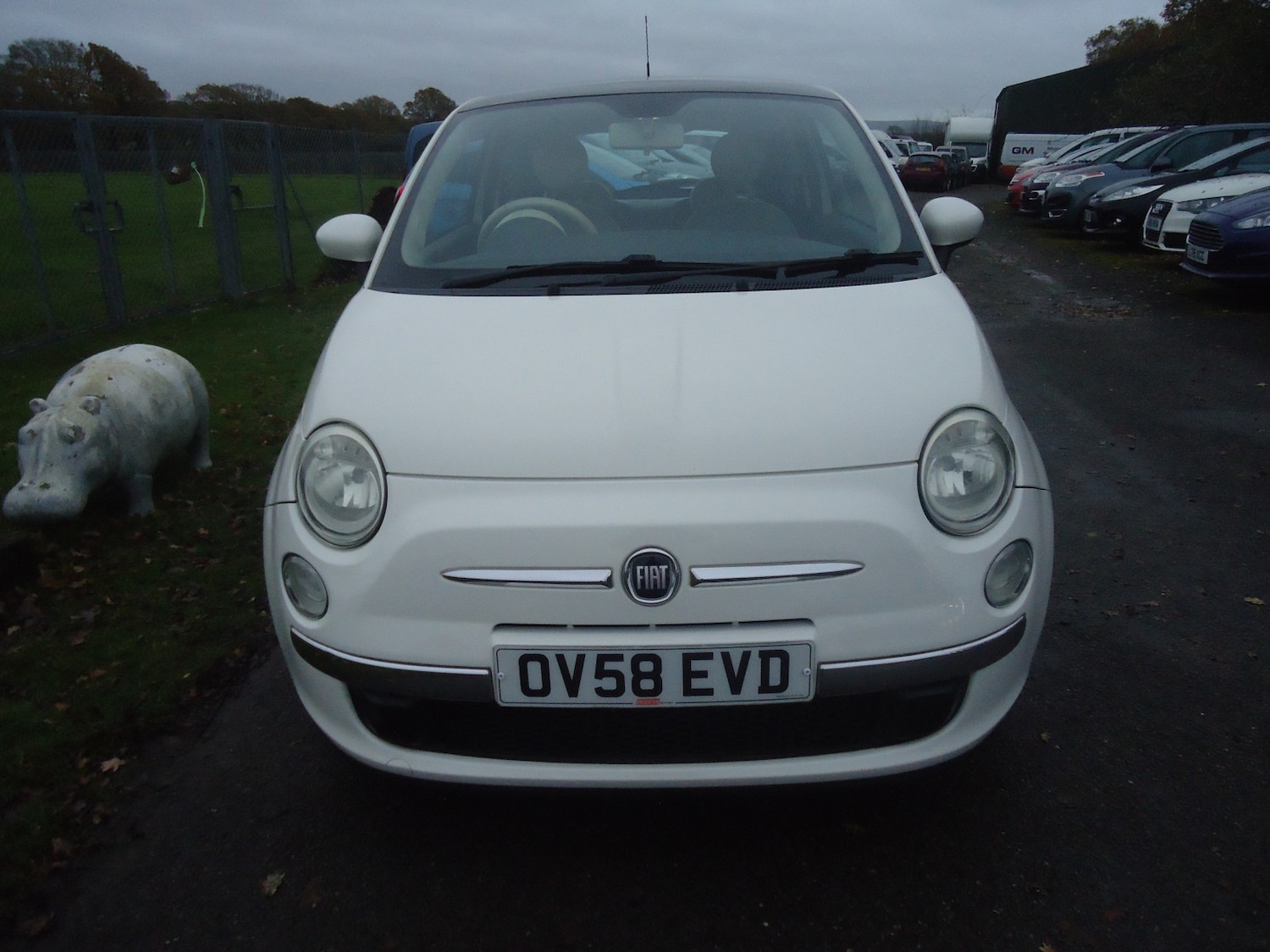 Used Fiat 500 2008 for sale - 76791536: Photo 5
