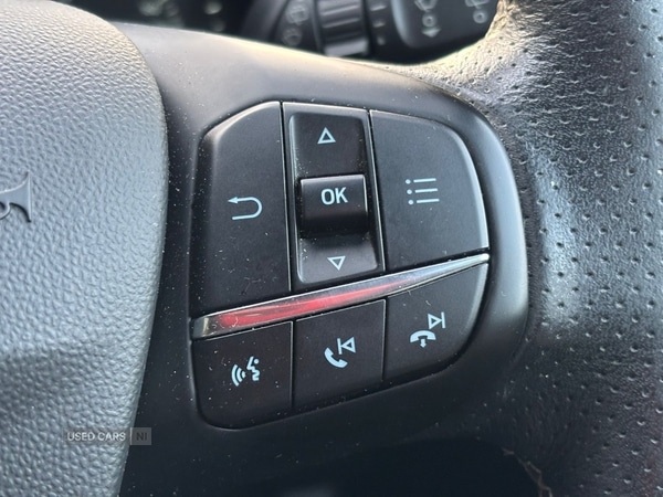 Used Ford Fiesta 2019 for sale - 77075027: Photo 14