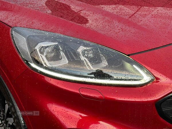 Used Ford Kuga 2020 for sale - 77167029: Photo 12