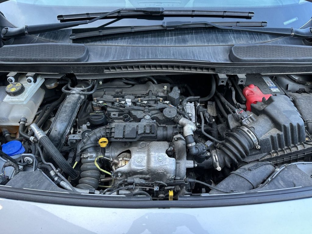 Used Ford Transit Connect 2023 for sale - 77292850: Photo 11