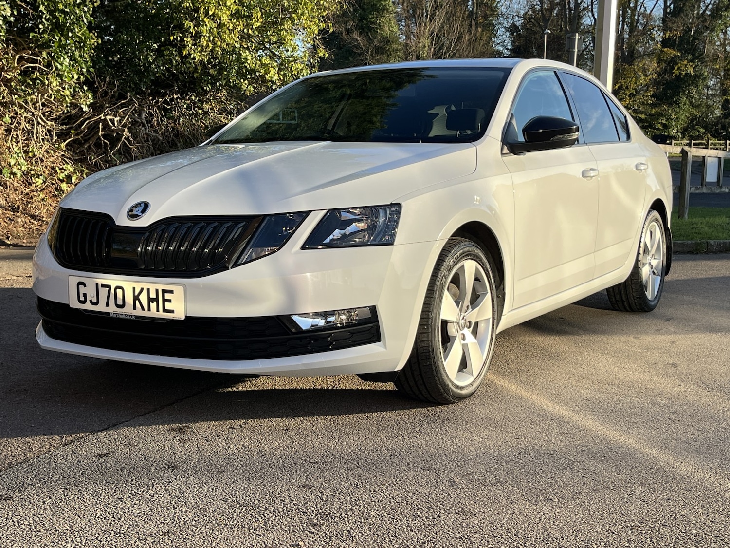 Used Skoda Octavia 2020 for sale - 76649827: Photo 12