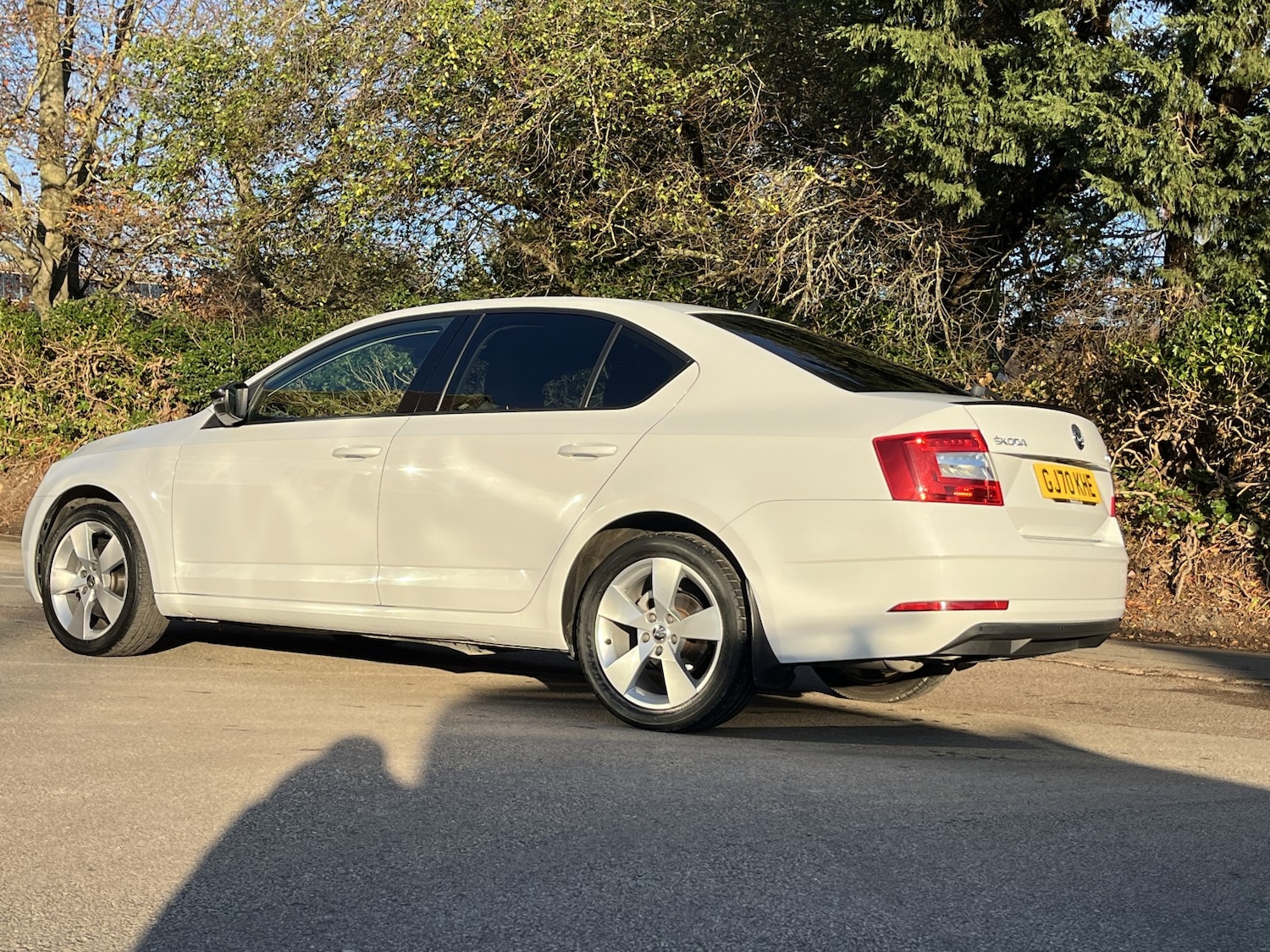 Used Skoda Octavia 2020 for sale - 76649827: Photo 16