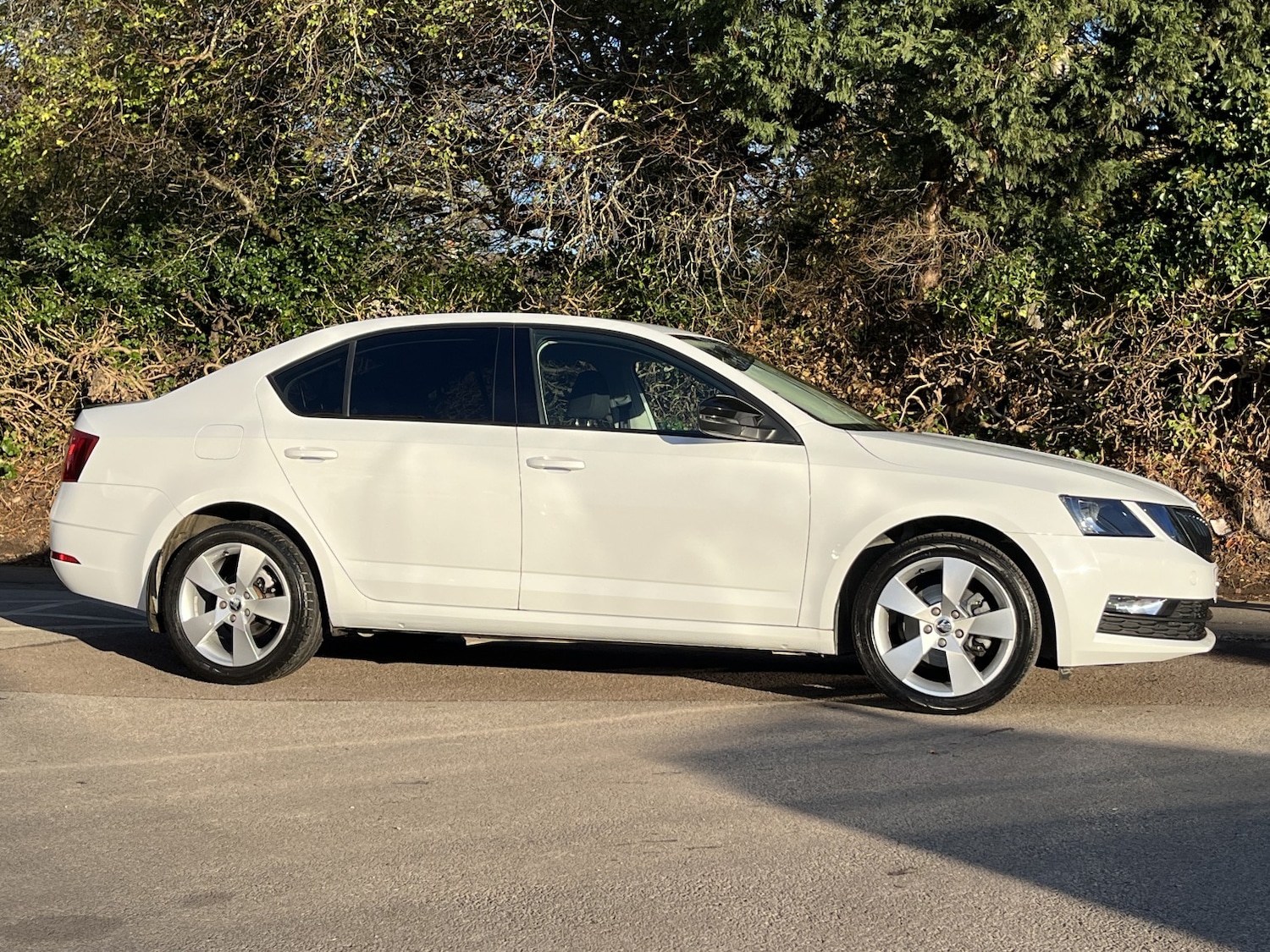 Used Skoda Octavia 2020 for sale - 76649827: Photo 5