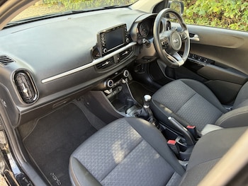 Used Kia Picanto 2019 for sale - 79302149: Photo