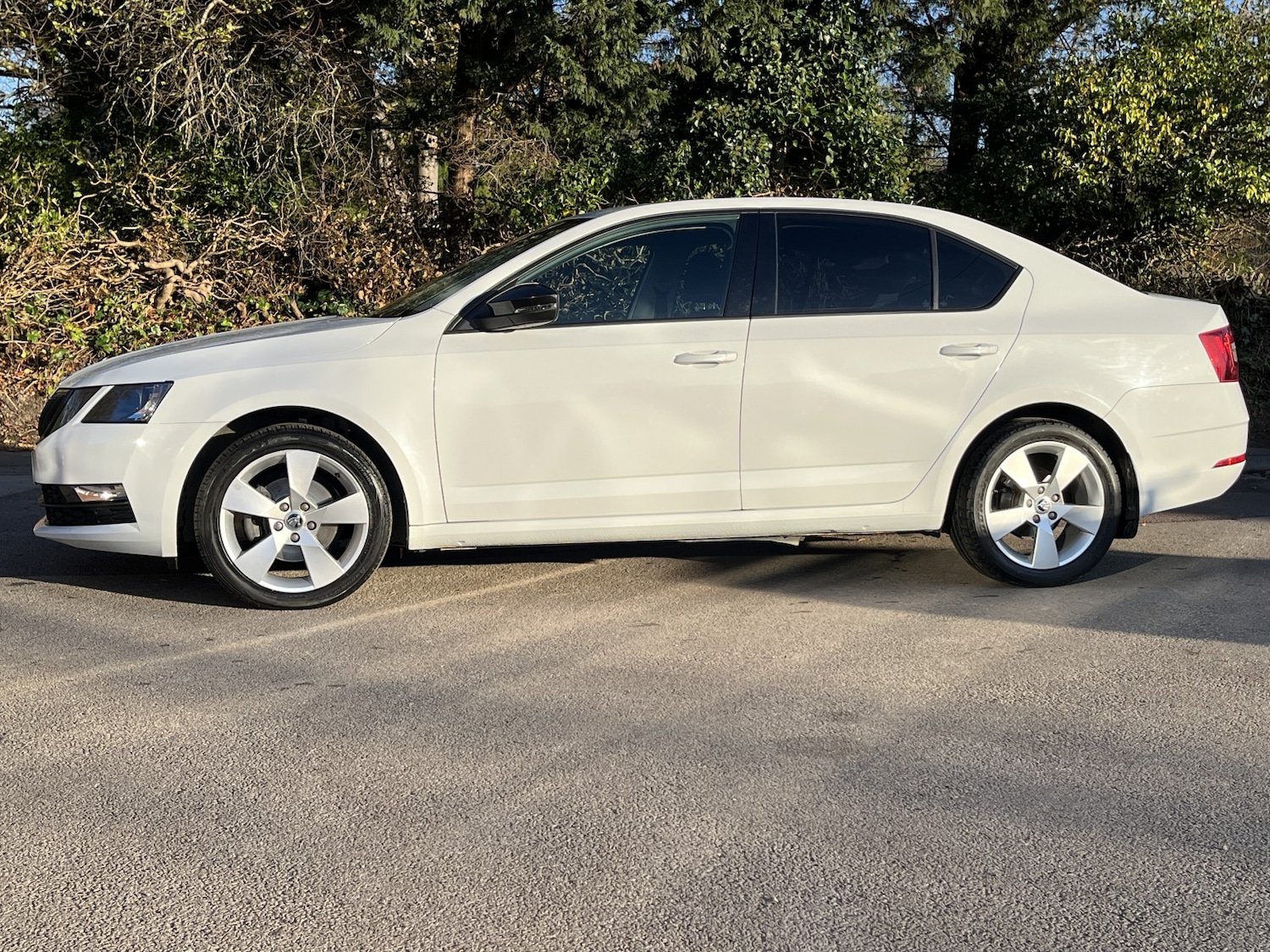 Used Skoda Octavia 2020 for sale - 76769829: Photo 14