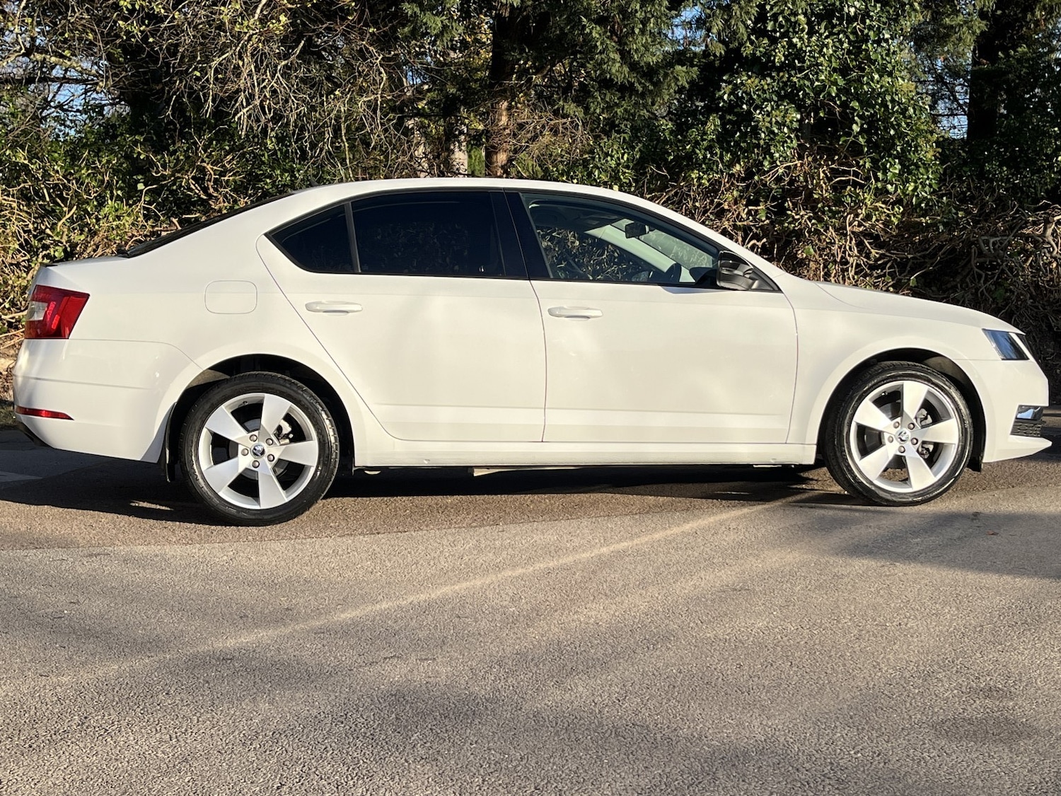 Used Skoda Octavia 2020 for sale - 76769829: Photo 4