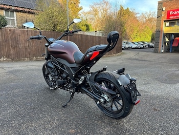 Used Benelli 502C undefined for sale - bike-76946795: Photo