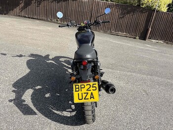 Used BSA Scrambler 2025 for sale - bike-75536149: Photo