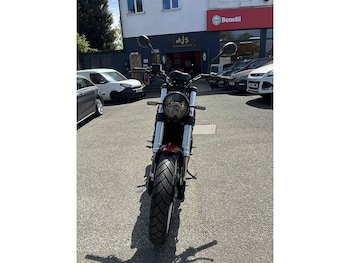 Used Benelli Leoncino 2023 for sale - bike-74841350: Photo
