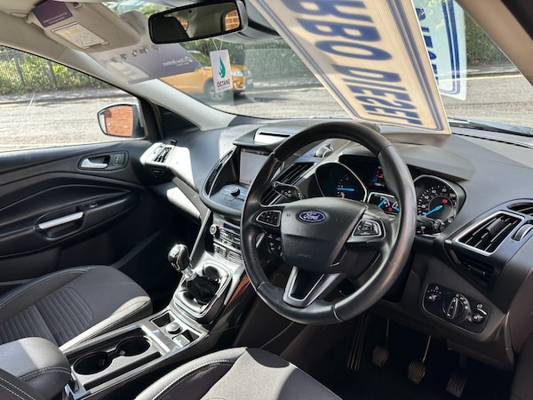 Used Ford Kuga 2019 for sale - 76007533: Photo 14