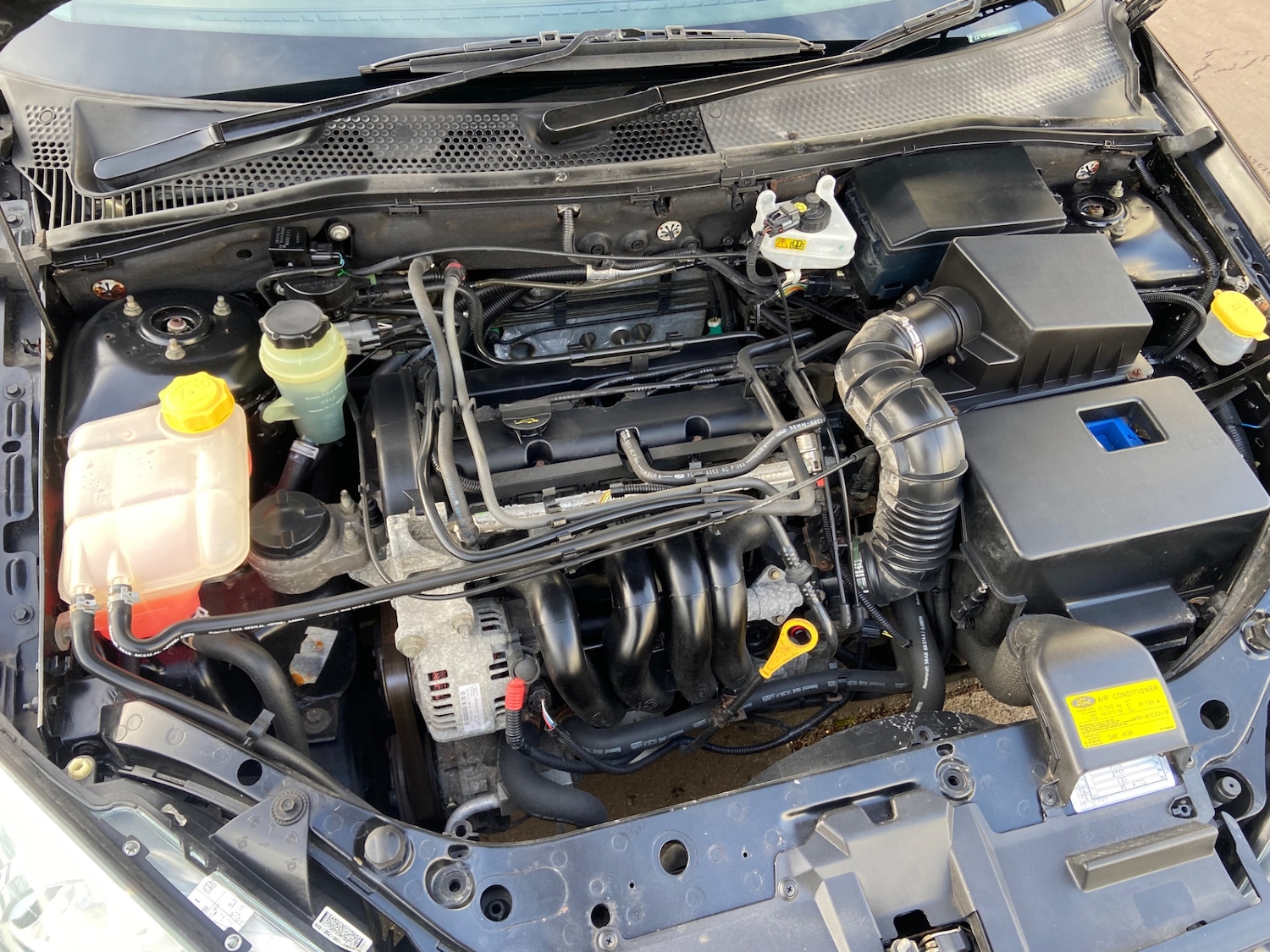 Used Ford Focus 2004 for sale - 77380788: Photo 14