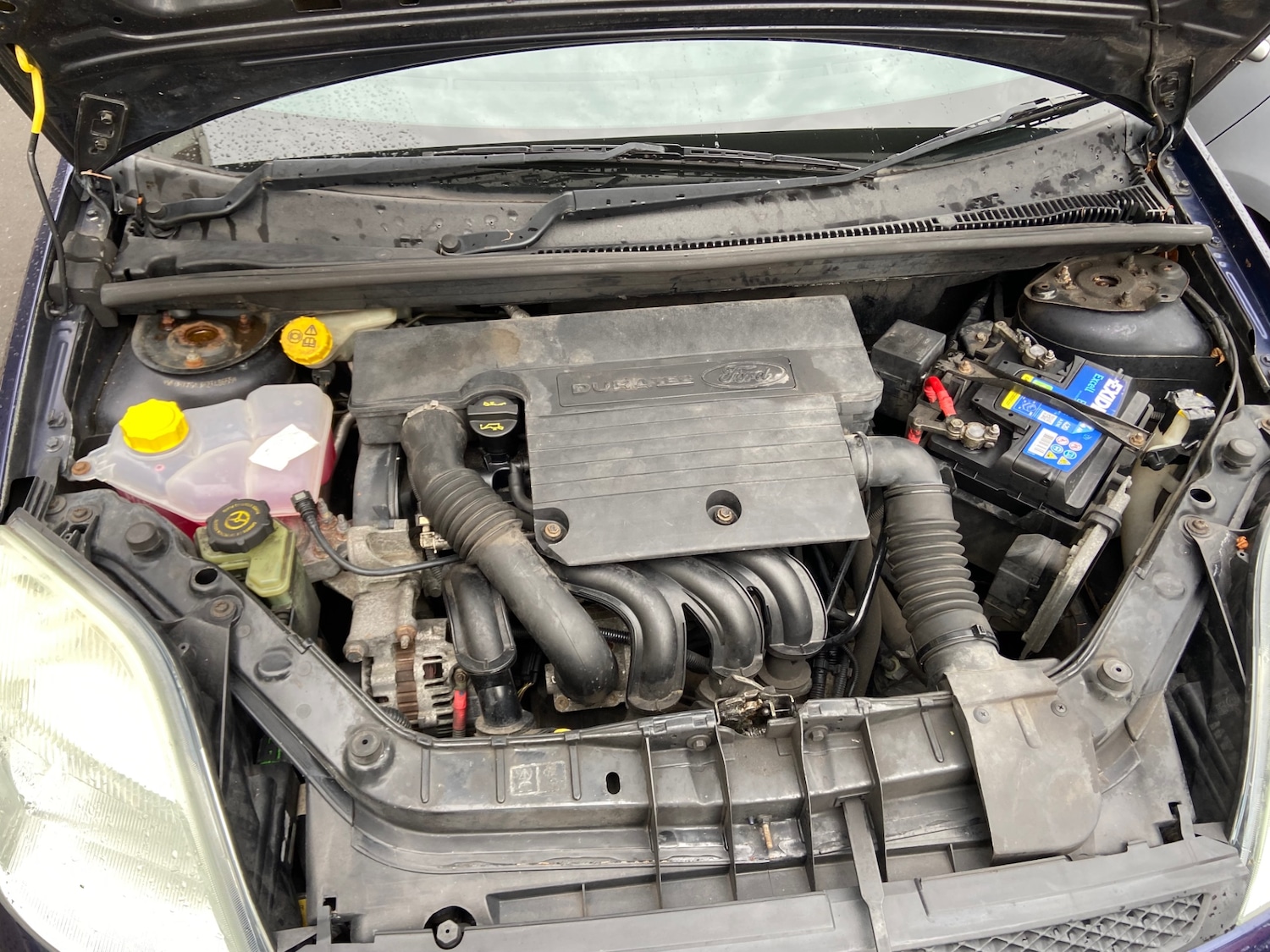 Used Ford Fiesta 2003 for sale - 76476736: Photo 14