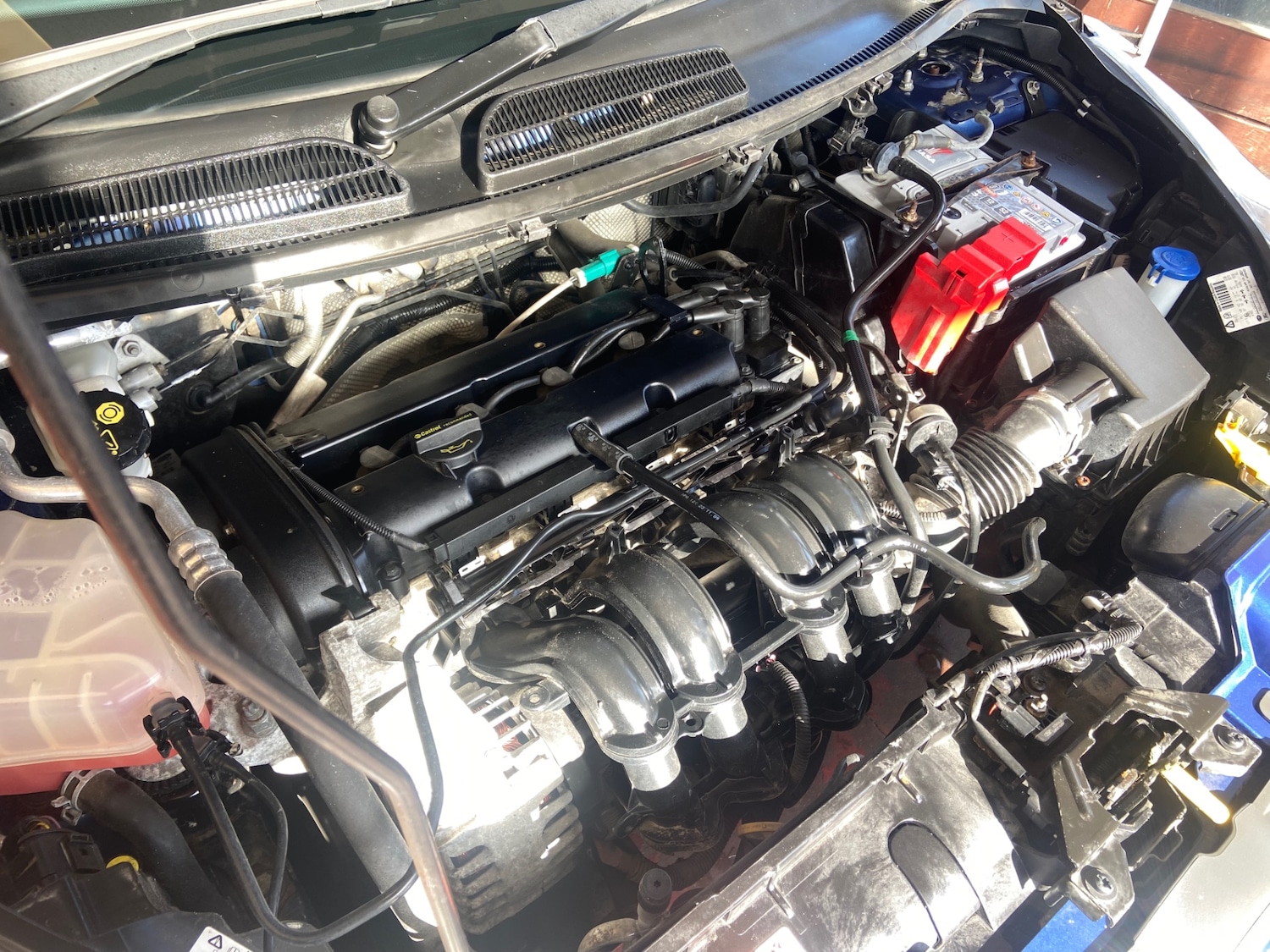 Used Ford Fiesta 2010 for sale - 77763176: Photo 11