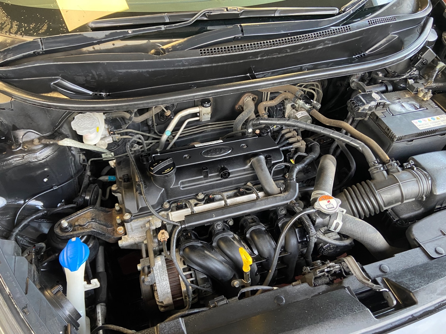 Used Kia Rio 2015 for sale - 76778329: Photo 6