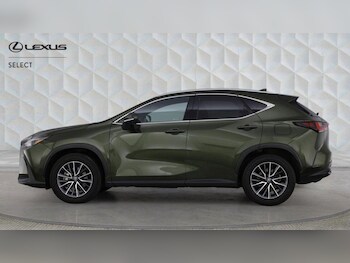 Used Lexus NX 2025 for sale - 78429039: Photo