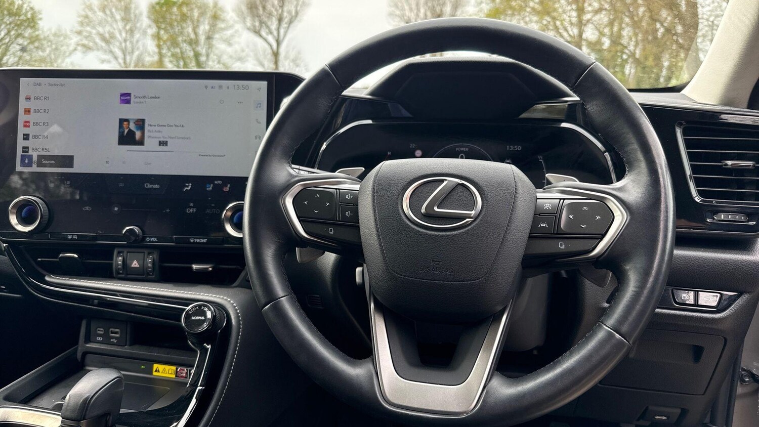 Used Lexus NX for sale - 78214591: Photo 12
