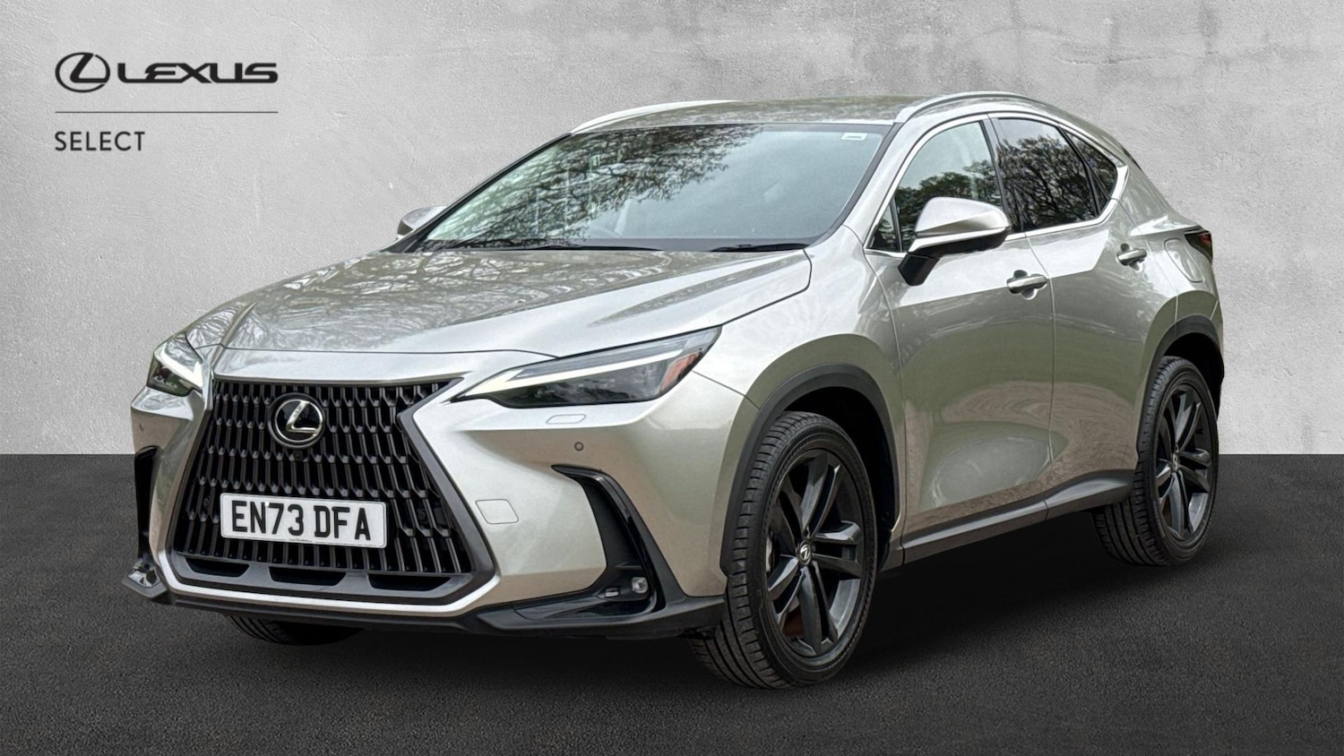 Used Lexus NX for sale - 78214591: Photo 3