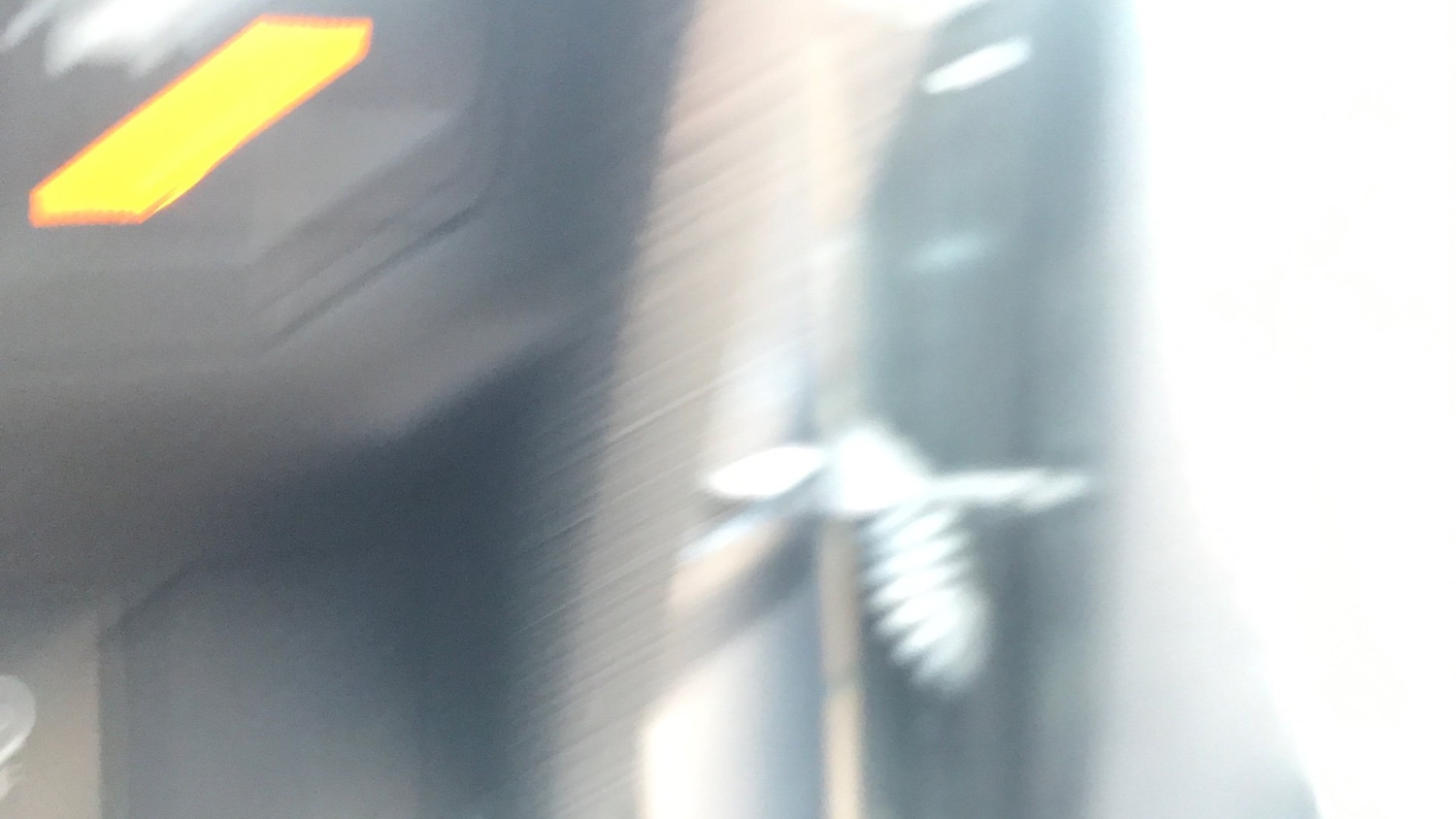 Vehicle 33