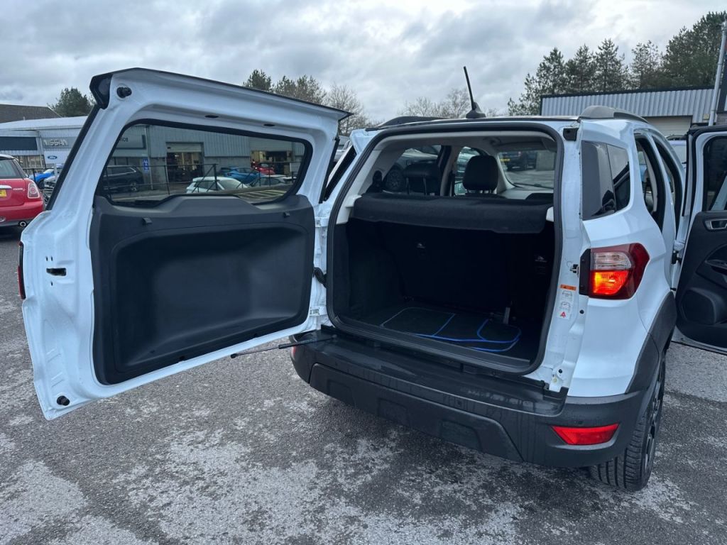 Used Ford Ecosport 2023 for sale - 77546257: Photo 13