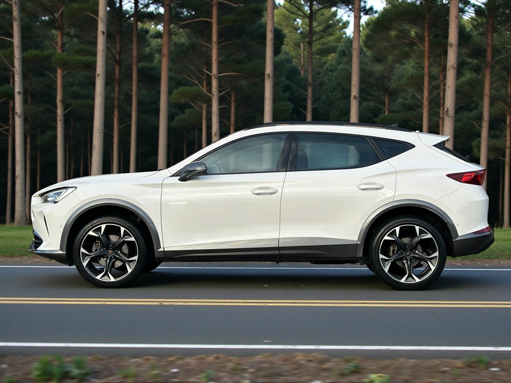 Used Cupra Formentor 2023 for sale - 77127732: Photo 6