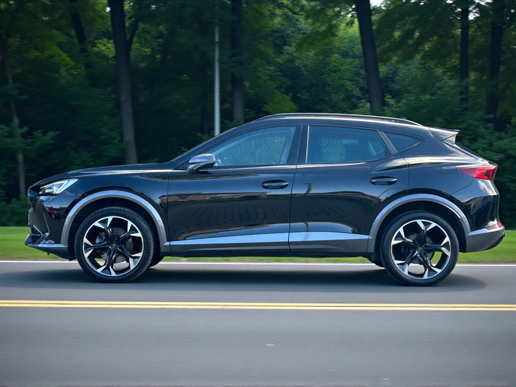 Used Cupra Formentor 2022 for sale - 76393830: Photo 5