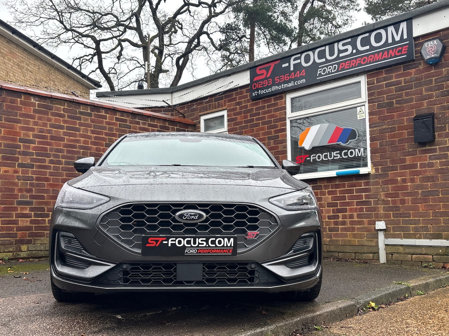 Used Ford Focus 2023 for sale - 77654073: Photo 4