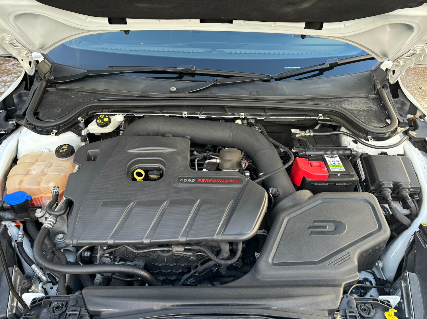 Used Ford Focus for sale - 76171032: Photo 5