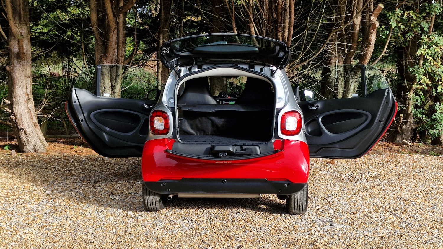 Used smart fortwo 2017 for sale - 76769584: Photo 14