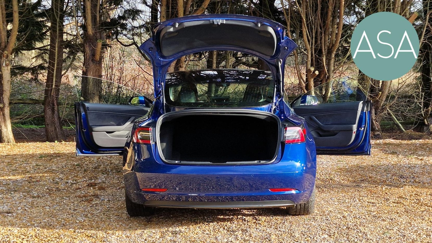 Used Tesla Model 3 2019 for sale - 77412873: Photo 13