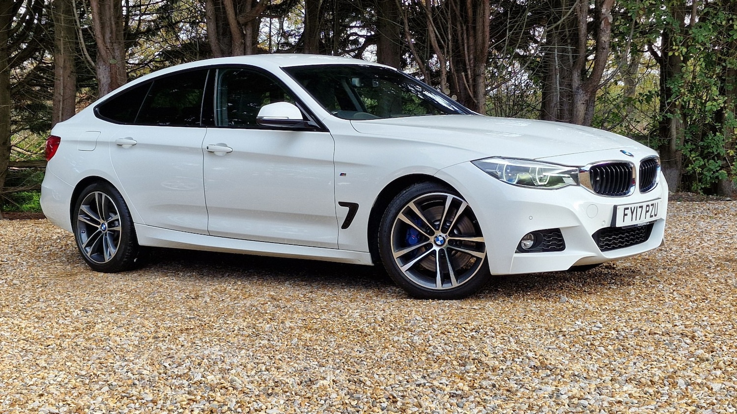 Used BMW 3 Series 2017 for sale - 76571147: Photo 1