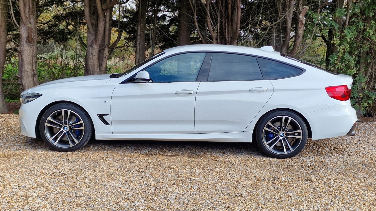 Used BMW 3 Series 2017 for sale - 76571147: Photo 17