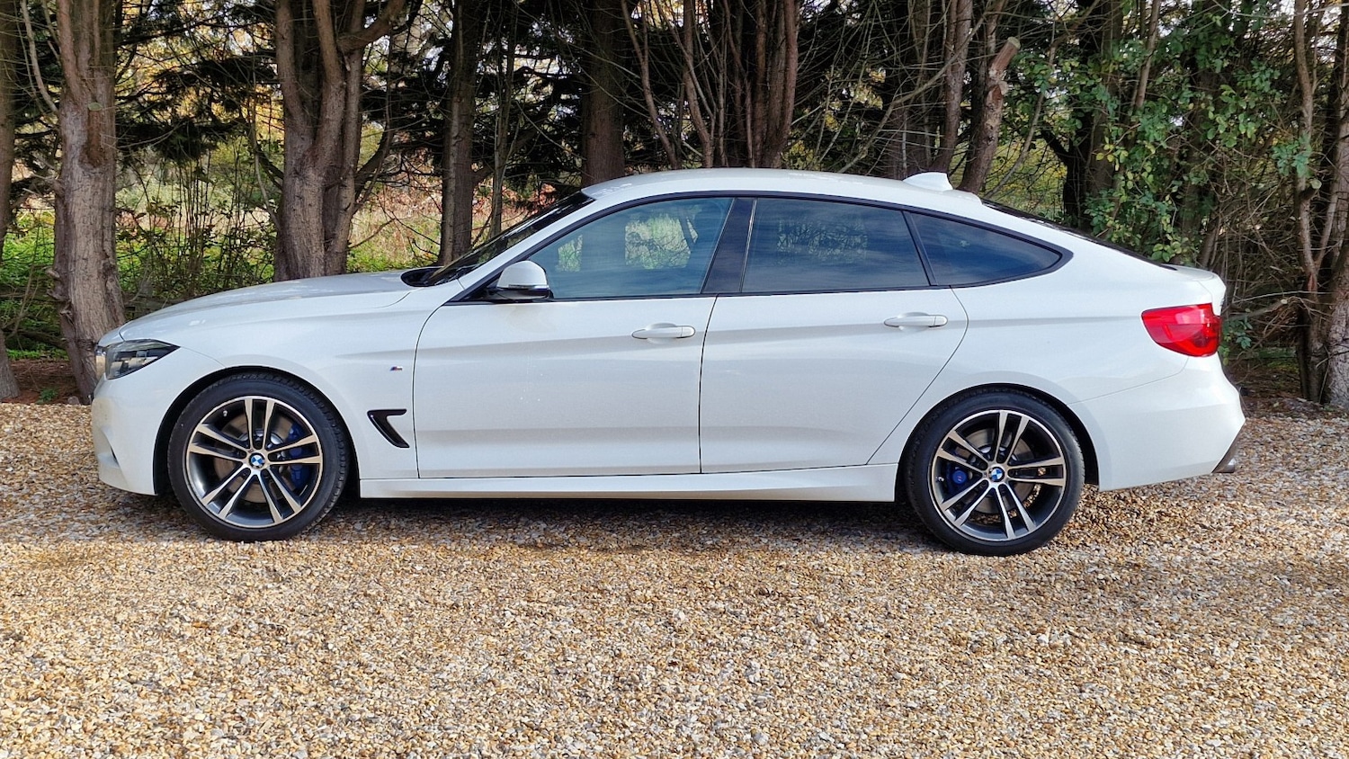 Used BMW 3 Series 2017 for sale - 76571147: Photo 18