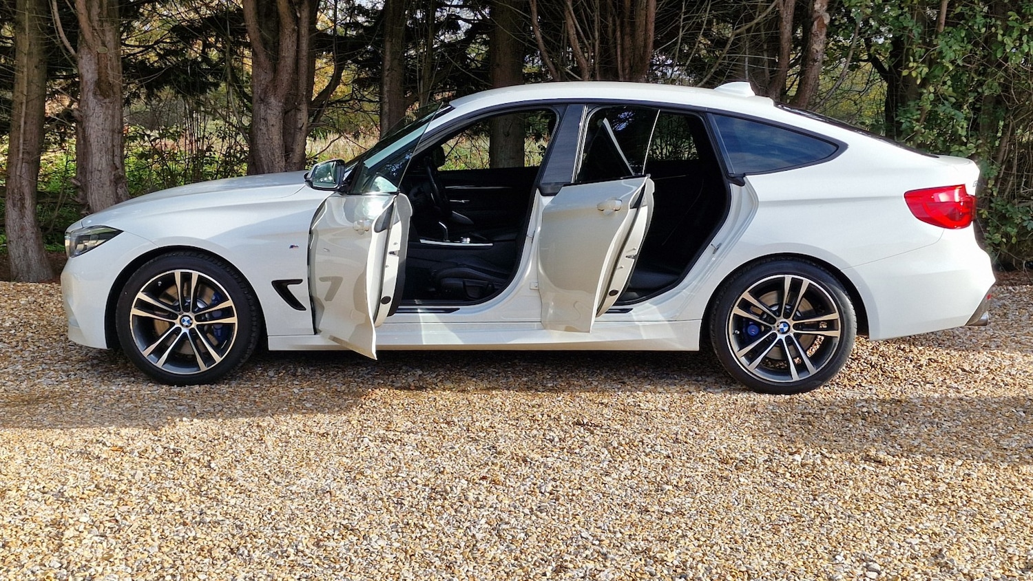 Used BMW 3 Series 2017 for sale - 76571147: Photo 19